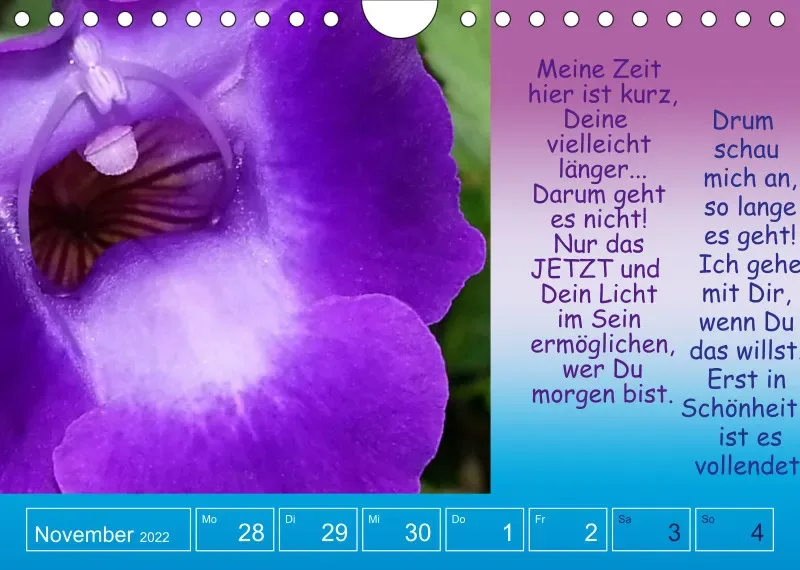 Projekt Nr. 1