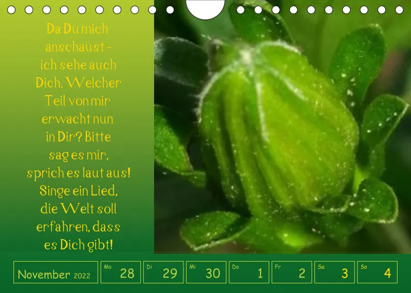 copy: Projekt Nr. 1