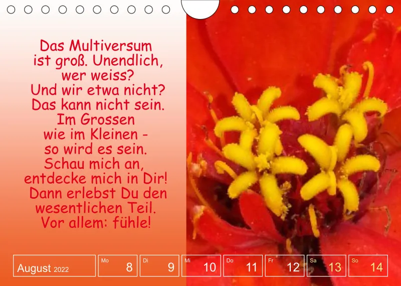 Projekt Nr. 1