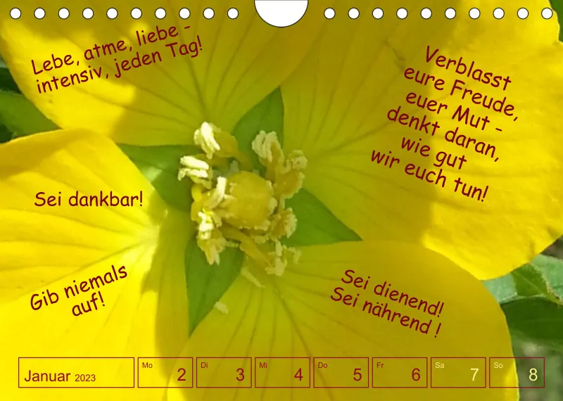Projekt Nr. 1