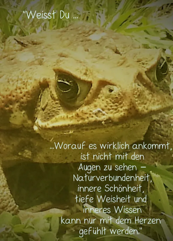 copy: Projekt Nr. 70