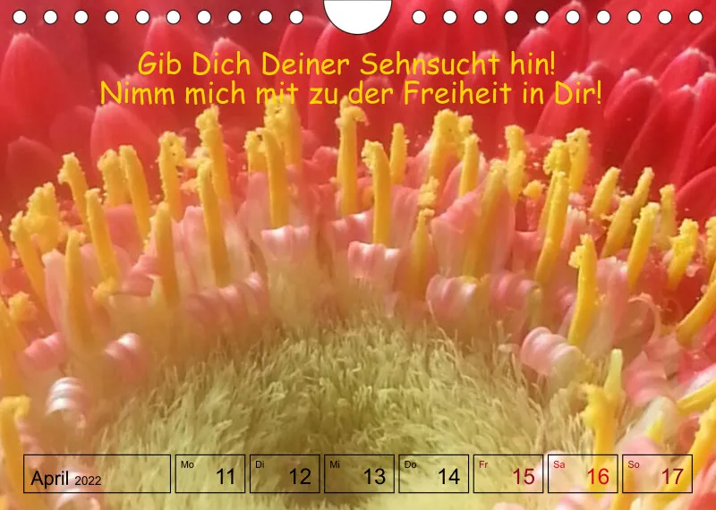 Projekt Nr. 1