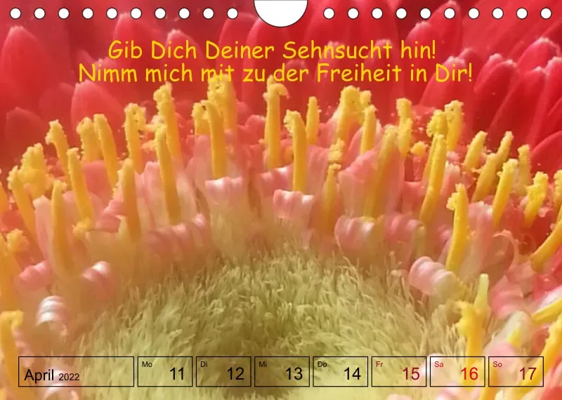 Projekt Nr. 1