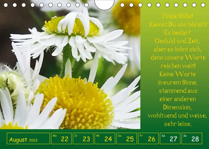 copy: Projekt Nr. 1