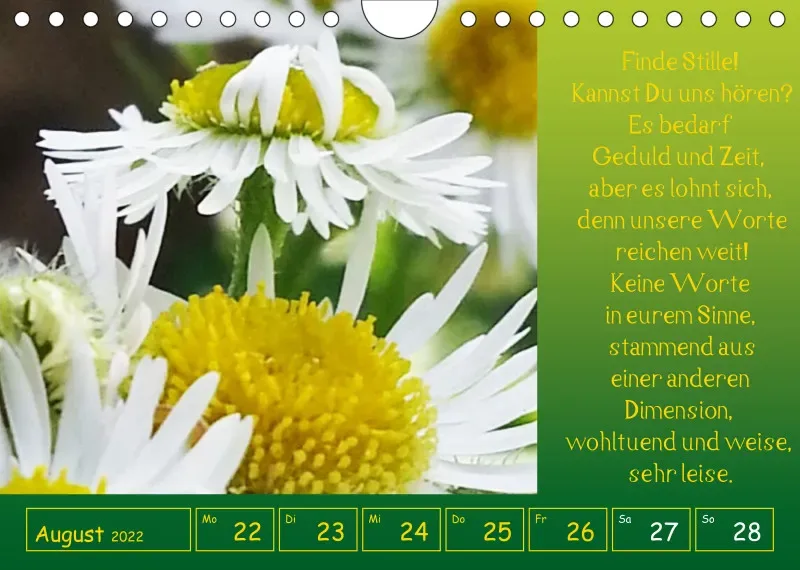 copy: Projekt Nr. 1