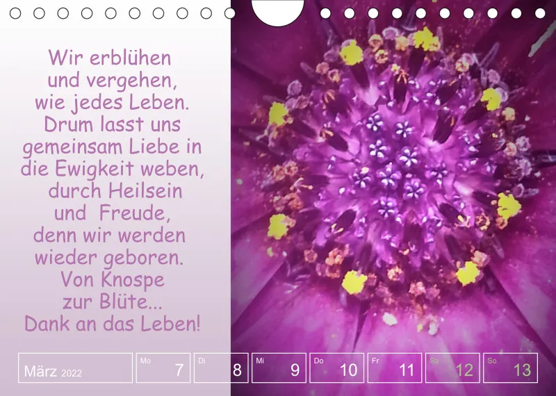 Projekt Nr. 1