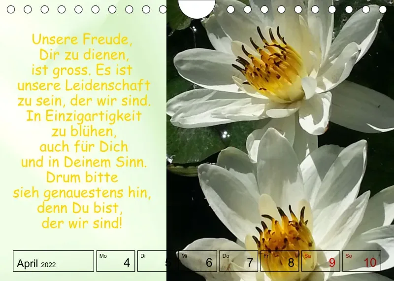 Projekt Nr. 1