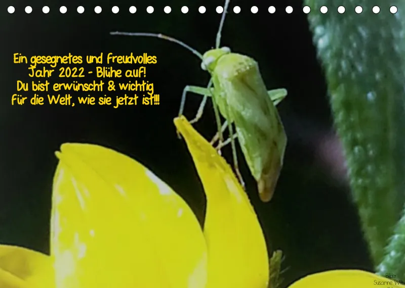 Projekt Nr. 39