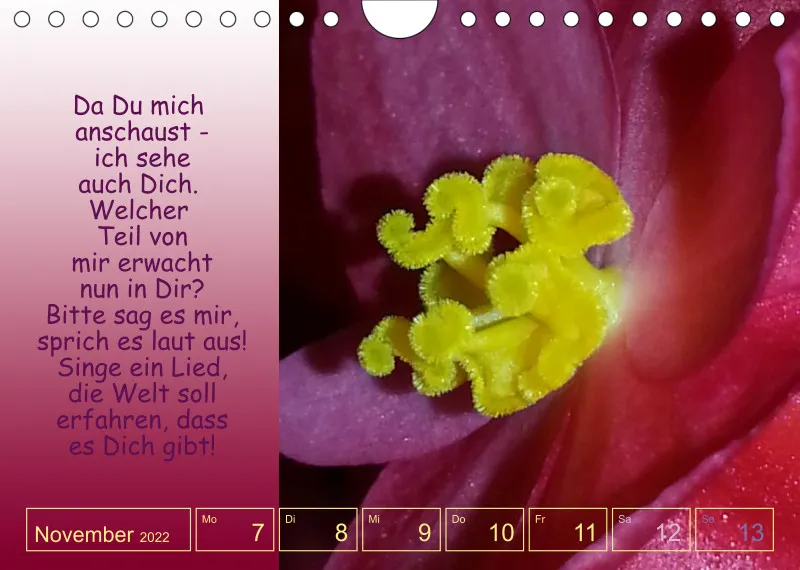 Projekt Nr. 1
