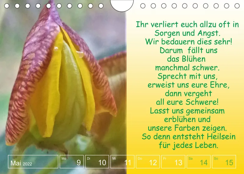 Projekt Nr. 1