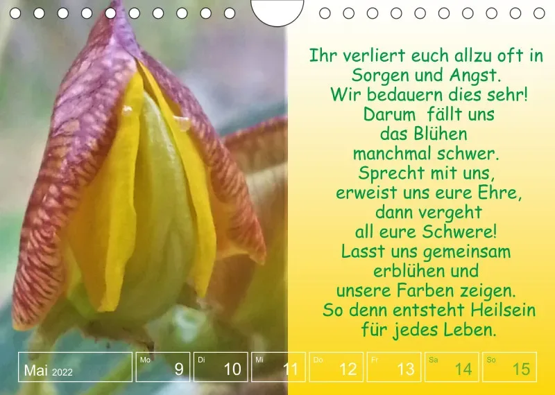 Projekt Nr. 1