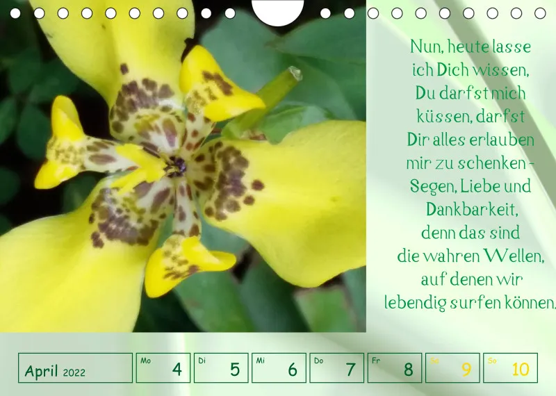 copy: Projekt Nr. 1