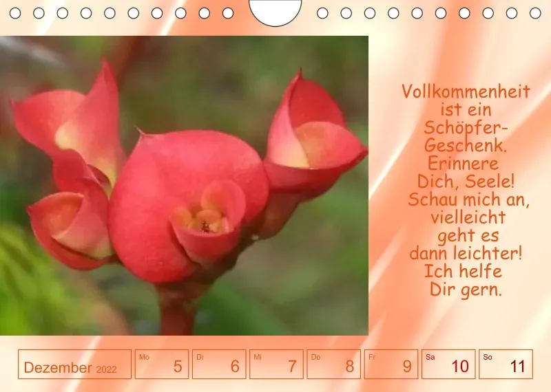 Projekt Nr. 1