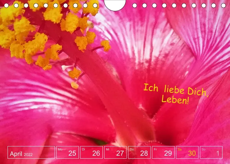 Projekt Nr. 1