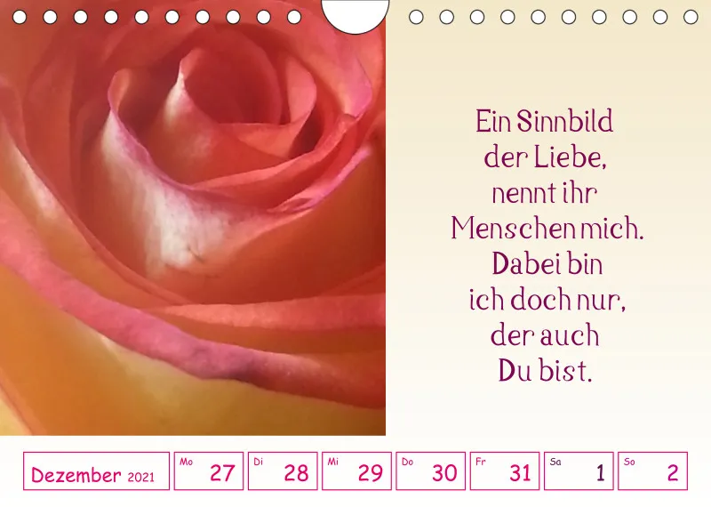 copy: Projekt Nr. 1