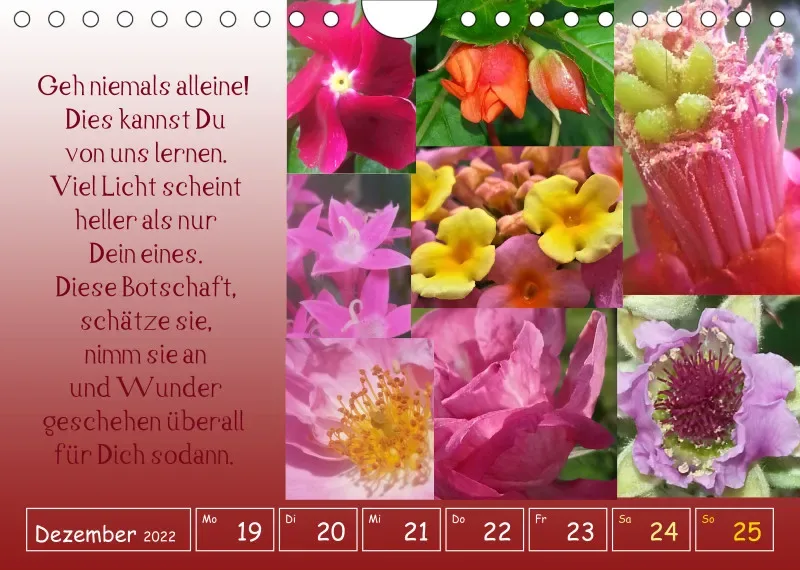 copy: Projekt Nr. 1