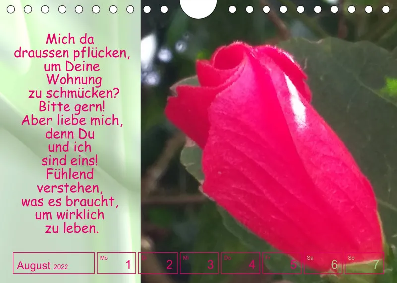 Projekt Nr. 1