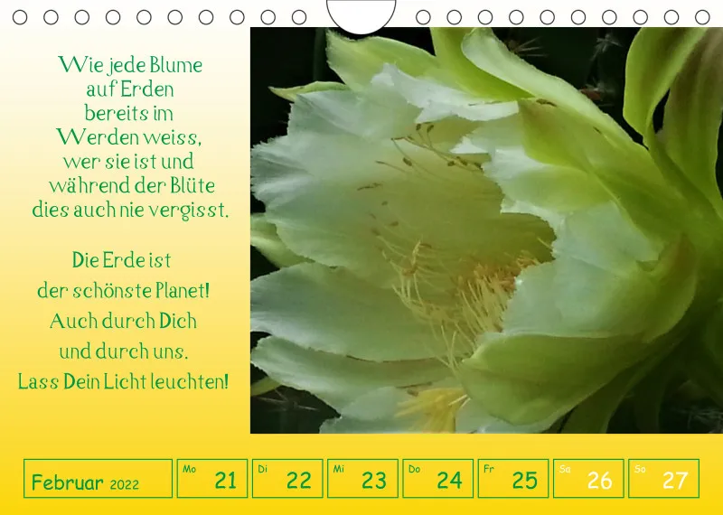 copy: Projekt Nr. 1