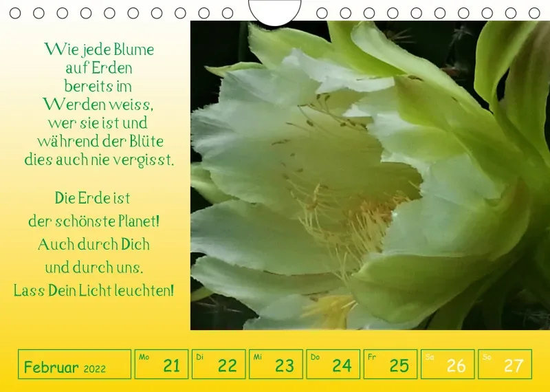 copy: Projekt Nr. 1