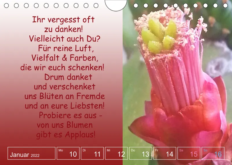 Projekt Nr. 1