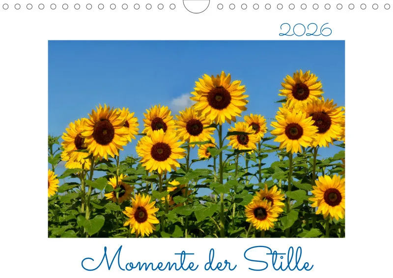 Momente der Stille