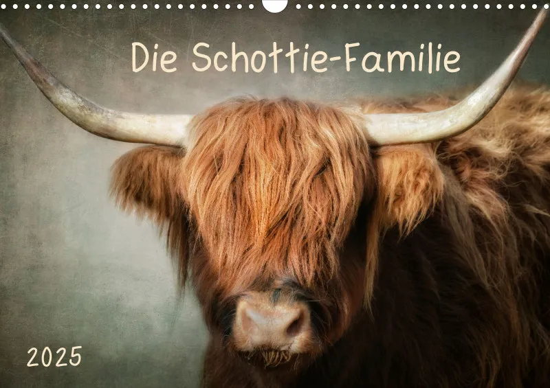 Hochlandrinder - Die Schottie Familie