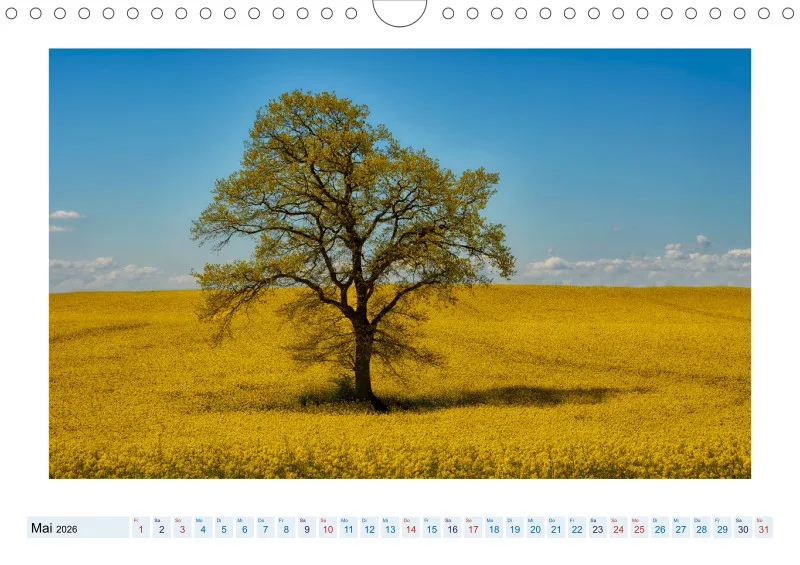 Momente der Stille
