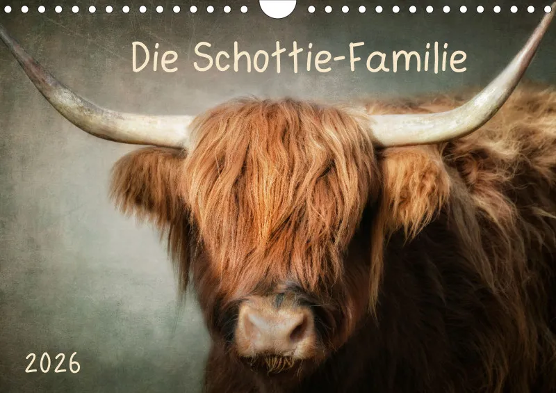 Hochlandrinder - Die Schottie Familie