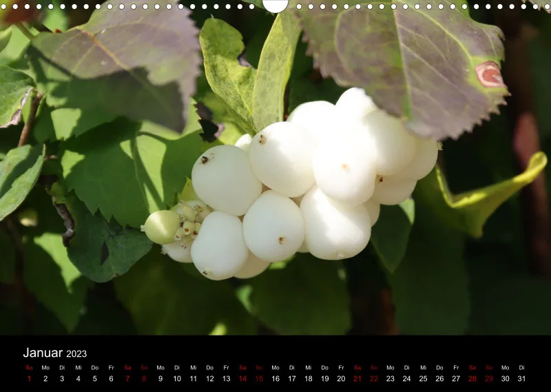 Die Natur im Spätsommer