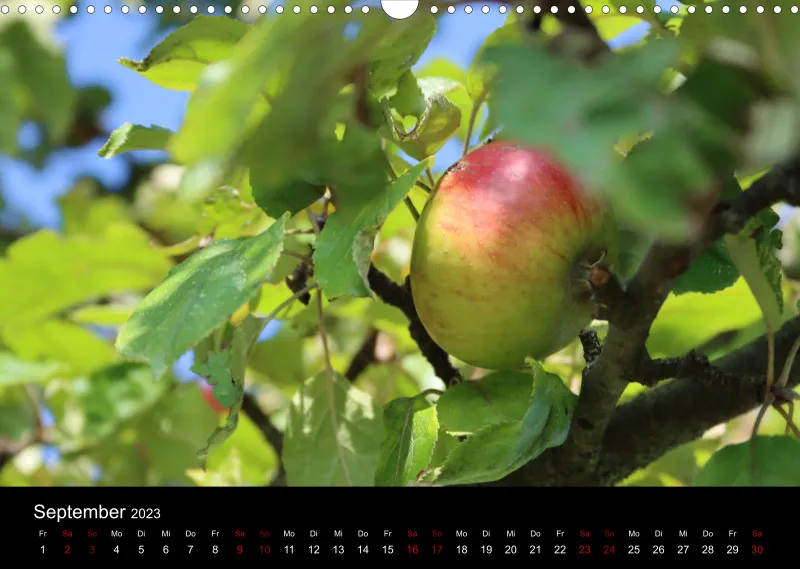 Die Natur im Spätsommer