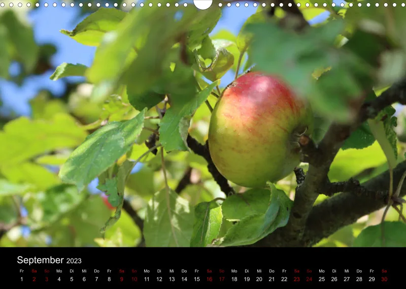 Die Natur im Spätsommer
