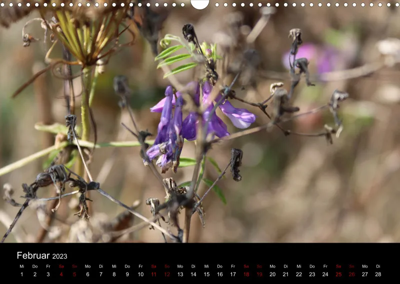 Die Natur im Spätsommer