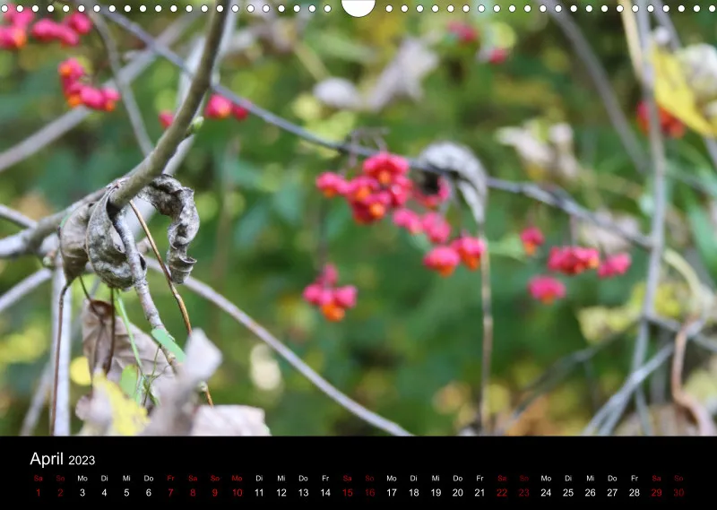 Die Natur im Spätsommer