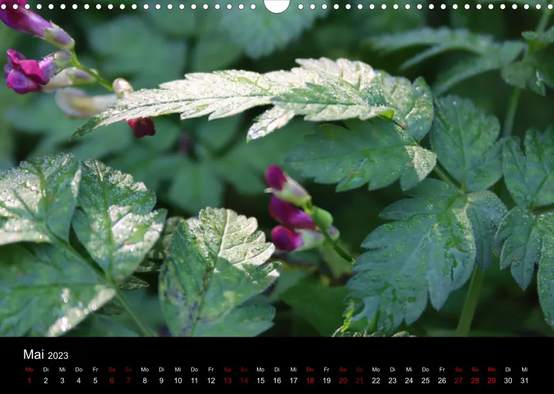 Die Natur im Spätsommer