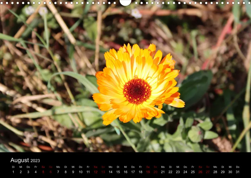 Die Natur im Spätsommer