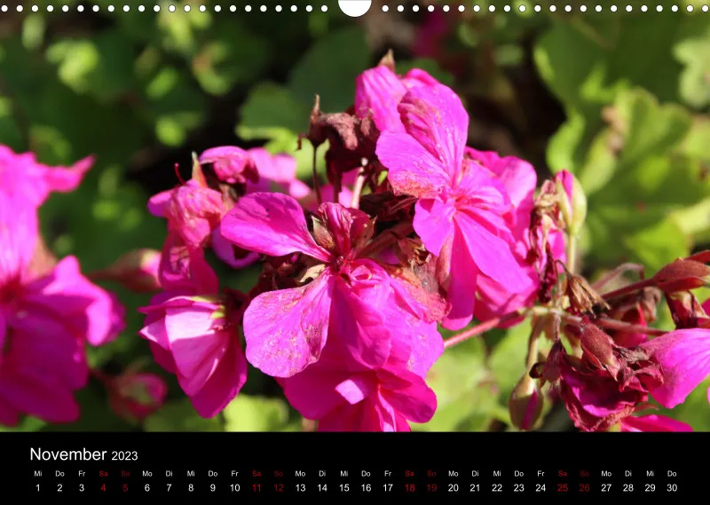Die Natur im Spätsommer