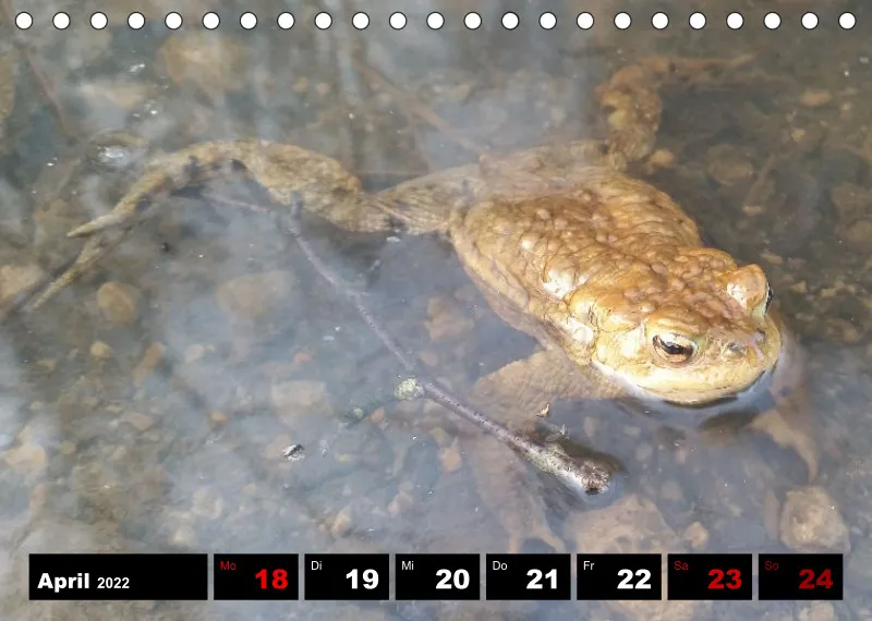 Natur Wochenkalender 2022
