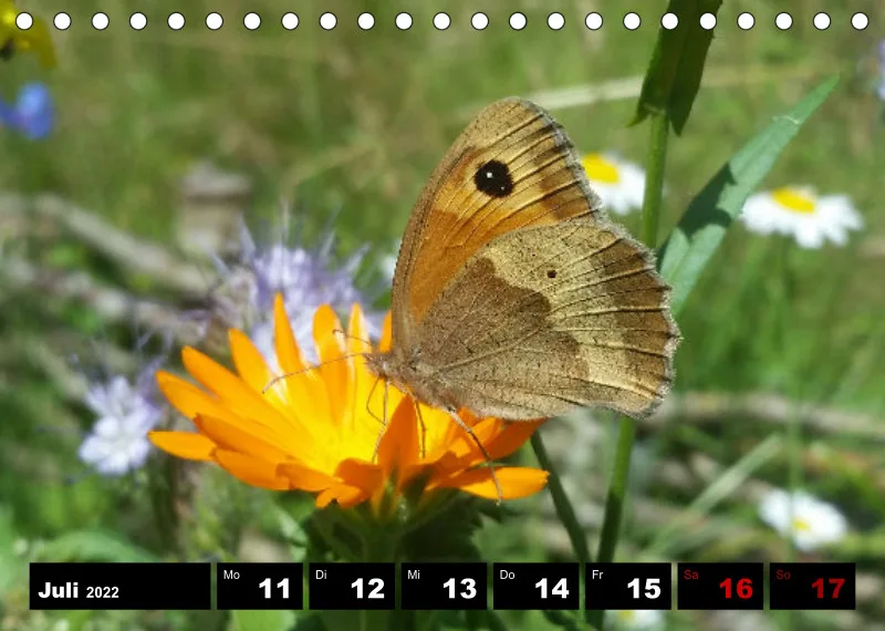 Natur Wochenkalender 2022