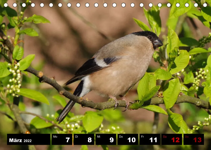 Natur Wochenkalender 2022