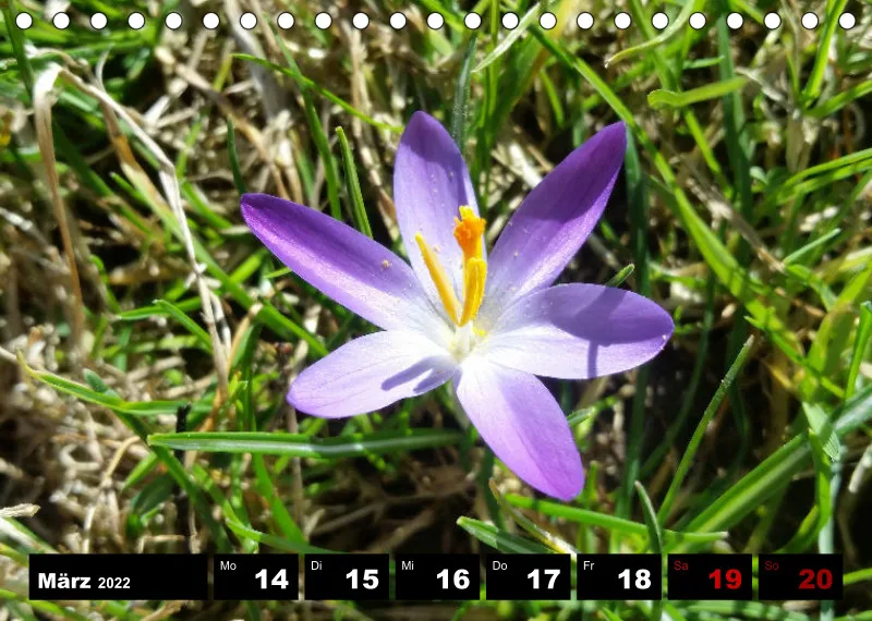 Natur Wochenkalender 2022