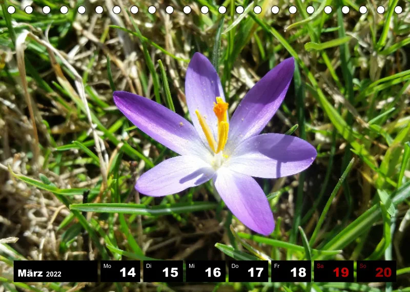 Natur Wochenkalender 2022