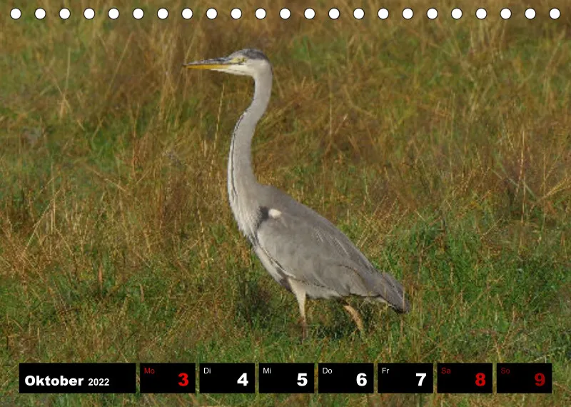 Natur Wochenkalender 2022