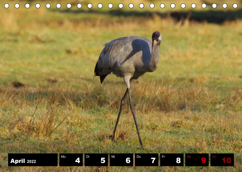 Natur Wochenkalender 2022
