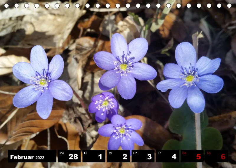 Natur Wochenkalender 2022
