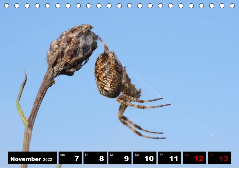 Natur Wochenkalender 2022