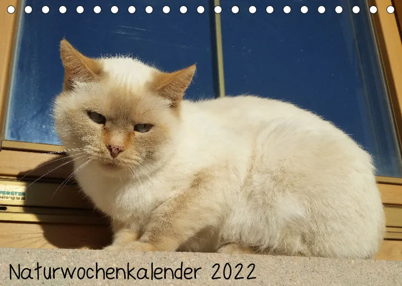 Natur Wochenkalender 2022