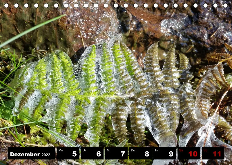 Natur Wochenkalender 2022