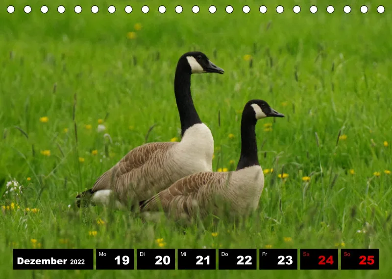 Natur Wochenkalender 2022