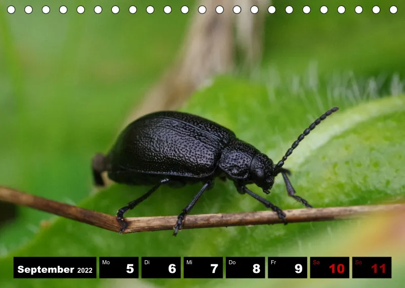 Natur Wochenkalender 2022