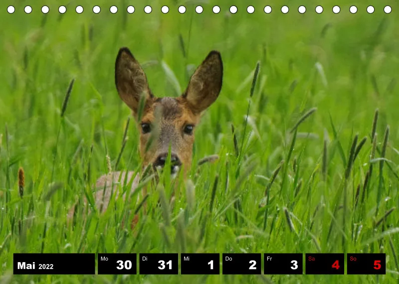 Natur Wochenkalender 2022